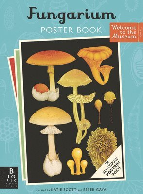 Ester Gaya - Fungarium Poster Book, Häftad