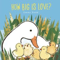 bokomslag How Big Is Love?