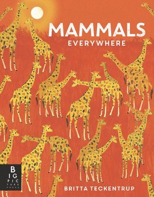 bokomslag Mammals Everywhere