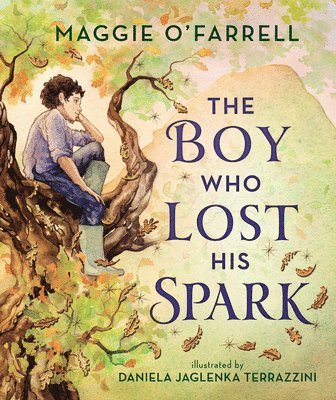 The Boy Who Lost His Spark 1