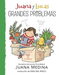 bokomslag Juana Y Lucas: Grandes Problemas