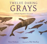 bokomslag Twelve Daring Grays: A Whale Migration Adventure