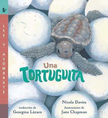 Una Tortuguita: Read and Wonder 1