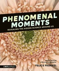 bokomslag Phenomenal Moments: Revealing the Hidden Science Around Us