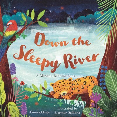 Down the Sleepy River: A Mindful Bedtime Book 1