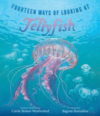 bokomslag Fourteen Ways of Looking at Jellyfish