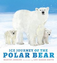 bokomslag Ice Journey of the Polar Bear