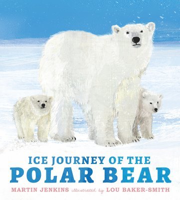 Ice Journey of the Polar Bear 1