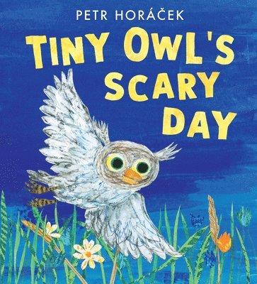 Tiny Owl's Scary Day