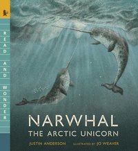 bokomslag Narwhal: The Arctic Unicorn