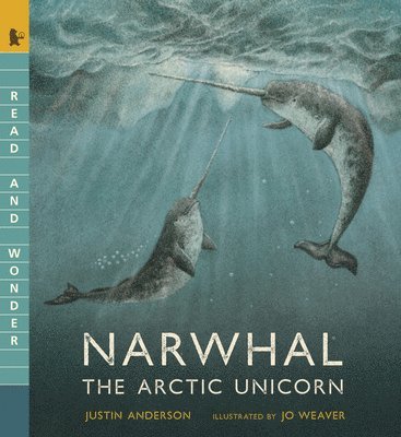 bokomslag Narwhal: The Arctic Unicorn