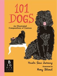 bokomslag 101 Dogs: An Illustrated Compendium of Canines