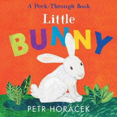 Petr Horacek - Little Bunny, Kartonnage
