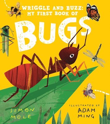 Simon Mole - Wriggle and Buzz: My First Book of Bugs, Inbunden