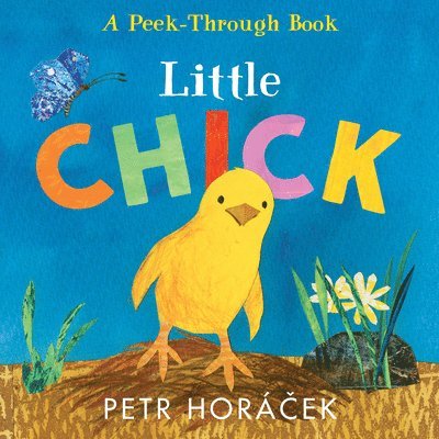 Little Chick 1