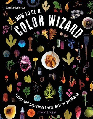 Jason Logan - How to Be a Color Wizard: Forage and Experiment with Natural Art Making, Häftad