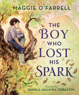 Maggie O'Farrell - The Boy Who Lost His Spark, Häftad