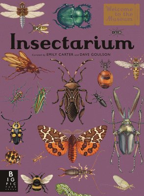 bokomslag Insectarium