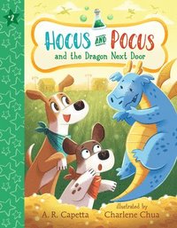 bokomslag Hocus and Pocus and the Dragon Next Door