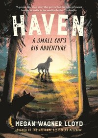 bokomslag Haven: A Small Cat's Big Adventure