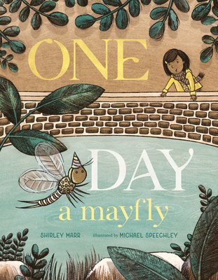 One Day a Mayfly 1