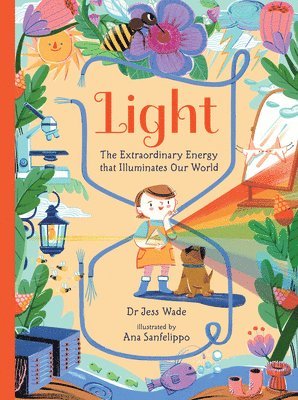 Light: The Extraordinary Energy That Illuminates Our World 1