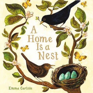 bokomslag A Home Is a Nest