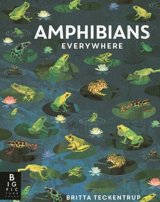 Camilla De La Bedoyere - Amphibians Everywhere, Inbunden