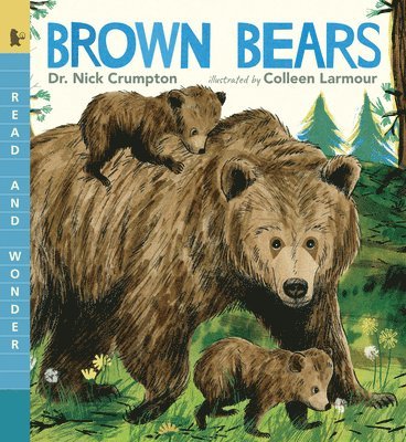 bokomslag Brown Bears: Read and Wonder