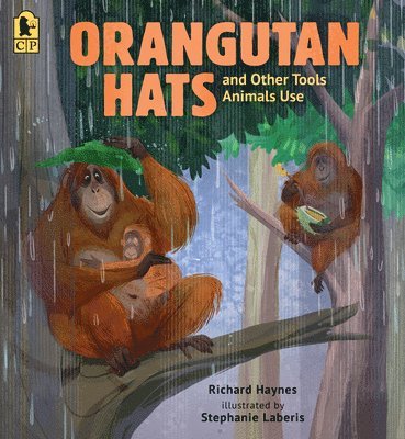 bokomslag Orangutan Hats and Other Tools Animals Use