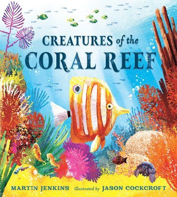 Martin Jenkins - Creatures of the Coral Reef, Inbunden