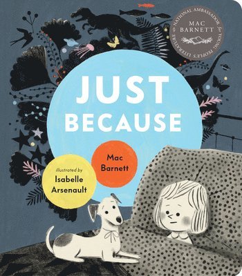Mac Barnett - Just Because, Kartonnage