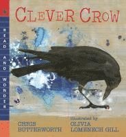 bokomslag Clever Crow: Read and Wonder