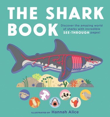 Emma Young - The Shark Book, Kartonnage