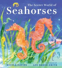 bokomslag The Secret World of Seahorses