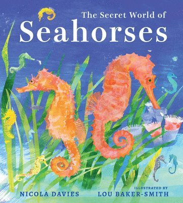 bokomslag The Secret World of Seahorses