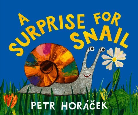Petr Horácek - A Surprise for Snail, Inbunden. Tillgänglighet: Lägg i varukorg
