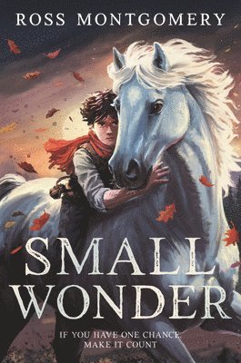 bokomslag Small Wonder