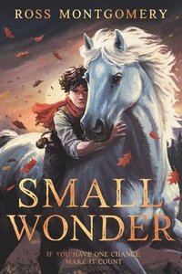 bokomslag Small Wonder