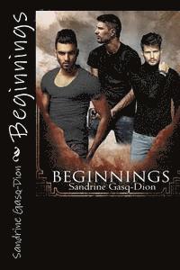 bokomslag Beginnings: The Santorno Stories book 8