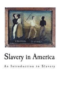 bokomslag Slavery in America