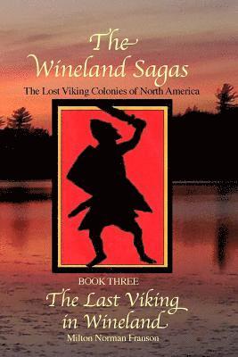 The Wineland Sagas Book Three The Last Viking in Wineland 1