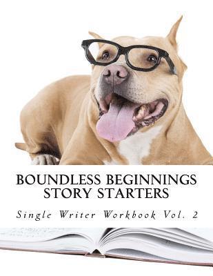 bokomslag Story Starters: Single Writer Workbook