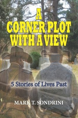 bokomslag Corner Plot With A View