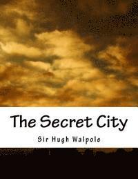bokomslag The Secret City