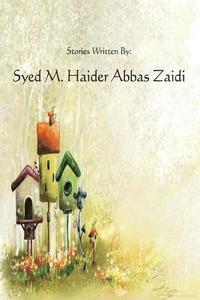 bokomslag Haider's Stories