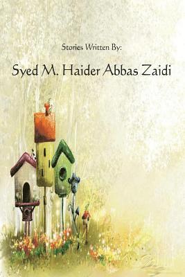 bokomslag Haider's Stories