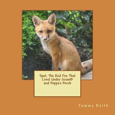 bokomslag Spot, The Red Fox That Lived Under GramB and Poppa's Porch