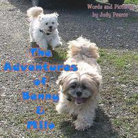 bokomslag The Adventures of Benny and Milo: Milo's Journey Across the Rainbow Bridge