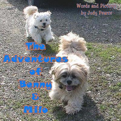 The Adventures of Benny and Milo: Milo's Journey Across the Rainbow Bridge 1